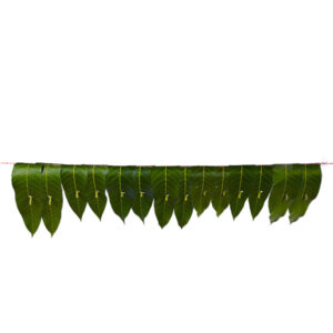 Pooja Flowers - Mango Leaves String – 3ft Length