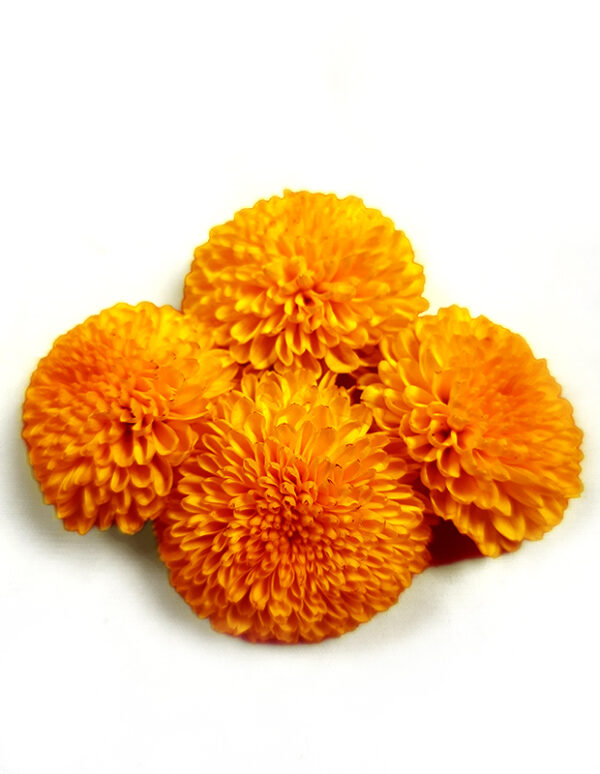 Pooja Flowers - Marigold Orange Flower (Gende Ka Phool)