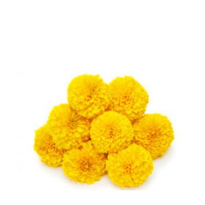 Pooja Flowers - Marigold Yellow Flower (Gende Ka Phool)