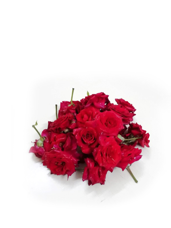 Pooja Flowers - Mirabel Rose Flowers – 250gm