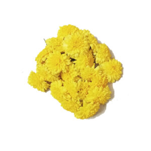 Pooja Flowers - Yellow Chrysanthemum Flower – 250gm