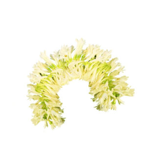 Pooja Flowers - Tuberose (Rajanigandha) String