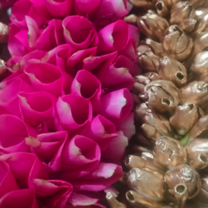 Bridal Hair Set - Pink Rose Petals and Jasmine